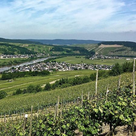 Gaestehaus Hoffmann Farschweiler Екстер'єр фото